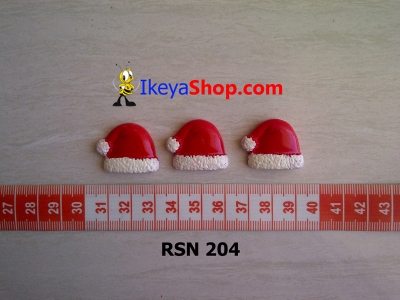 rsn 204  large2